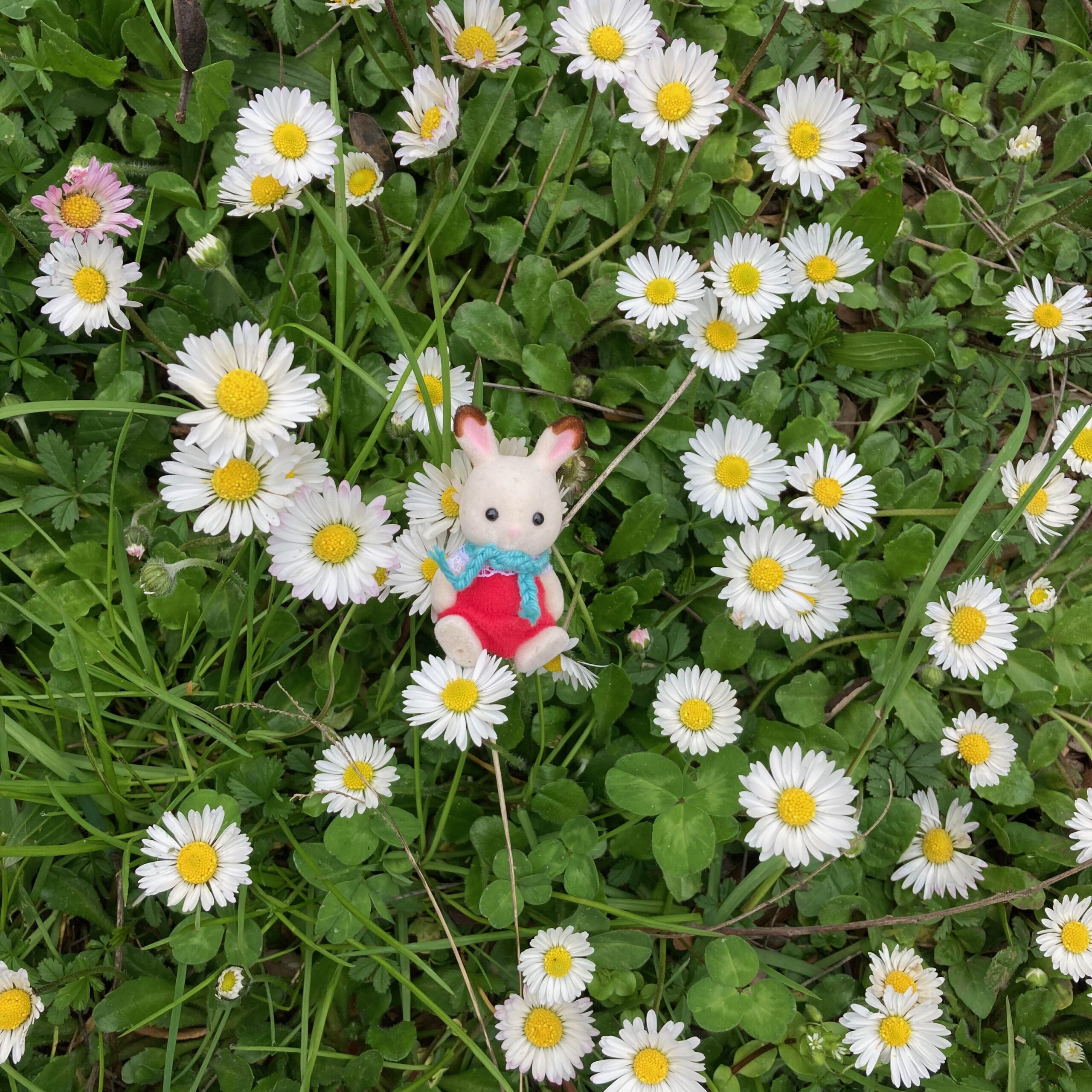 Spring is blooming in Italy!